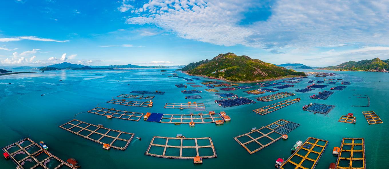 宁德万象城AWC：深化金融服务创新 贡献国有担保力量